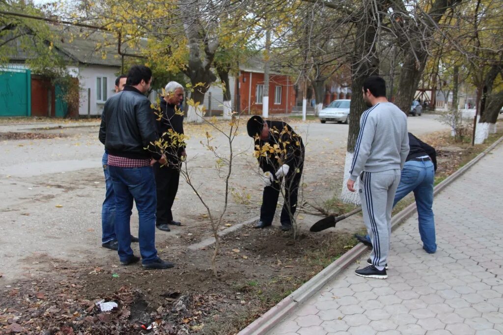 Субботник в школе Бабаюртовского района. Гази Юрт Бабаюртовский район. Бабаюрт Дагестан. Бабаюрт люди. Погода в бабаюрте на 10 дней