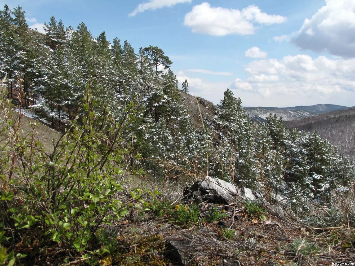 боград хакасия. хакасия боградский район село боград. погода в бограде хакасия на сегодня. боград хакасия. погода в бограде хакасия на сегодня.
