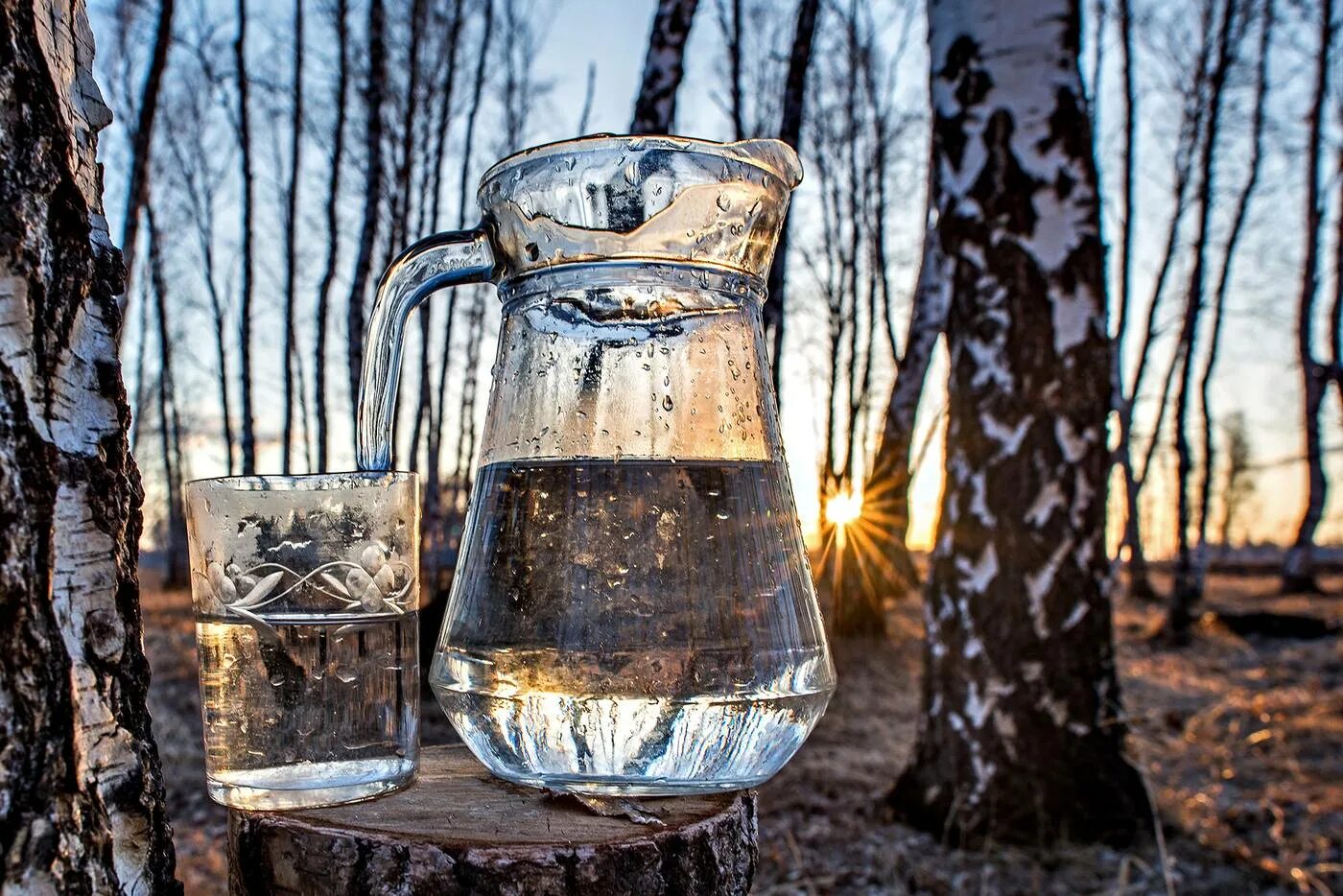 Забродивший березовый сок. Береза и березовый сок. берёзовый сок. березка сок. березовка сок.