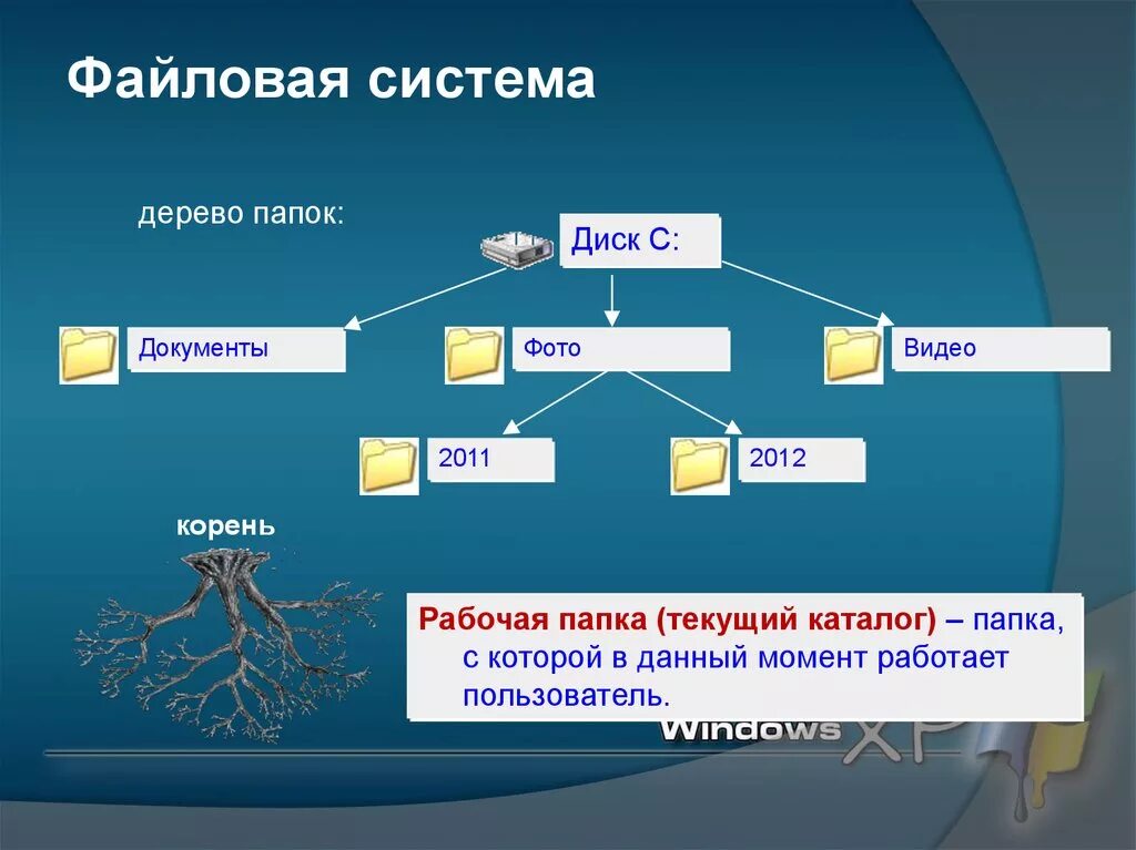 Каталоги папки дерево каталогов