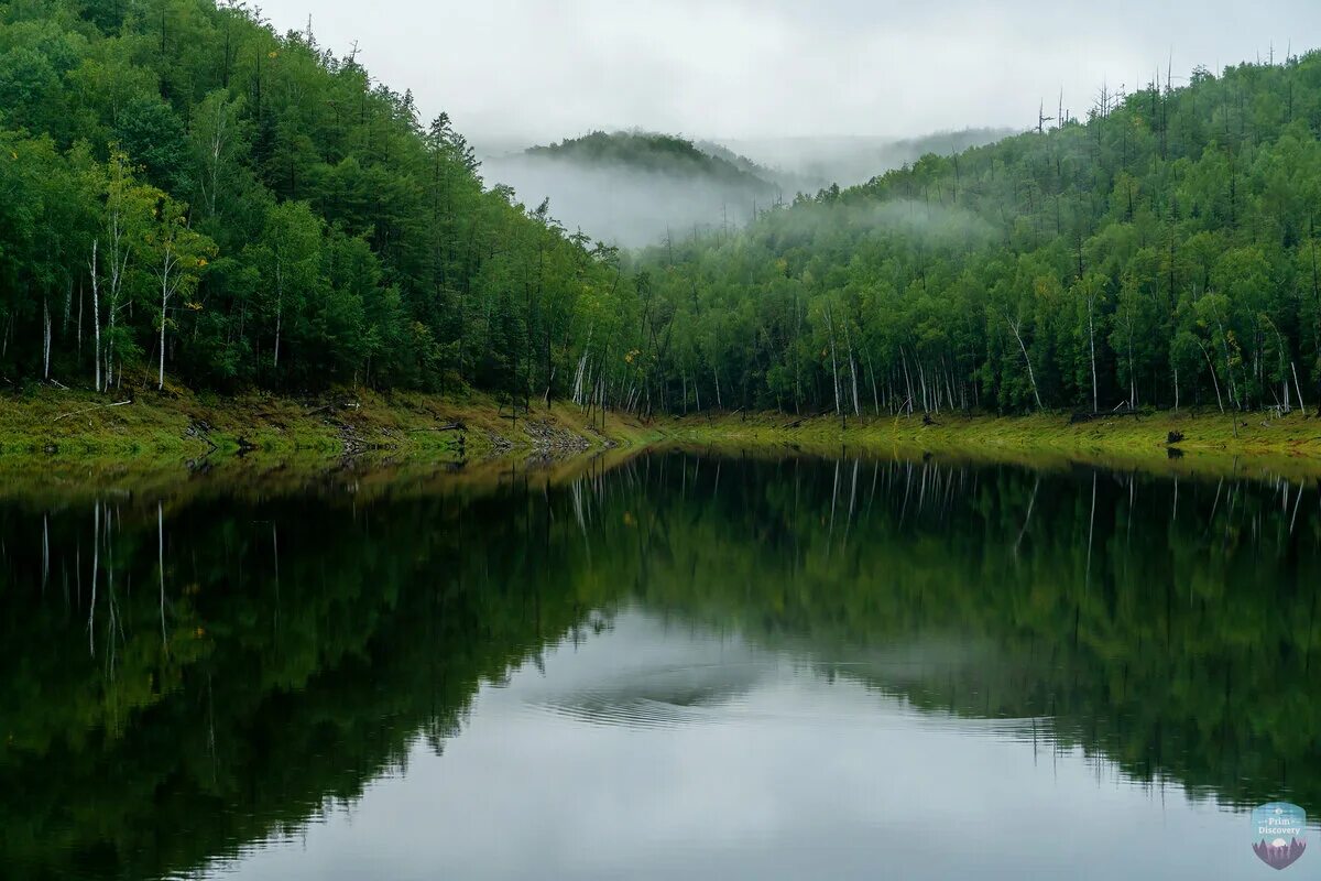 Зейский заповедник Амурской. Зейское водохранилище Амурская область. Зейский государственный природный заповедник. Кордон «Каменушка» Зейского заповедника.