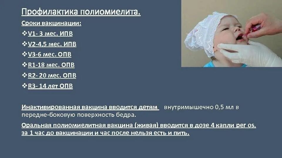 Прививки против полиомиелита детям. Прививка v3 ИПВ что это. Прививки v1 v2 v3 что это. Профилактика вакцина профилактика полиомиелита. Полиомиелит схема вакцинации ИПВ ОПВ.