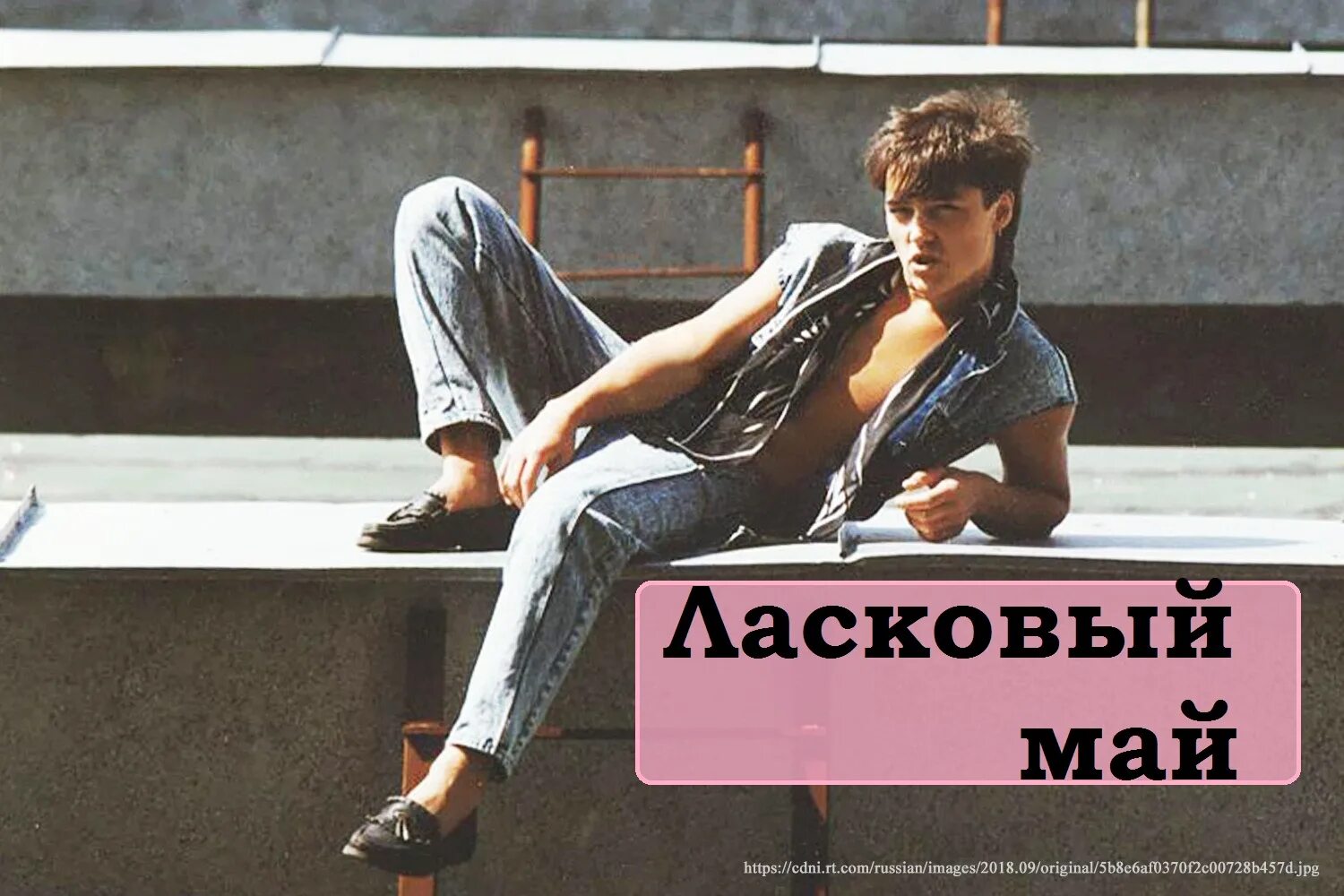 Милые коты. Ласковый это. Доброй ночи кошки. Нежный поцелуй. Текст с ласковыми словами.