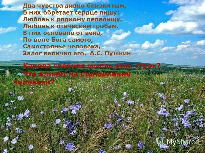 Родина слово святое. Два чувства дивно близки нам Пушкин стихотворение. Животворящая святыня земля была б без них мертва. Два чувства дивно близки нам в них обретает сердце пищу. Стих любовь к родному пепелищу любовь к отеческим гробам.