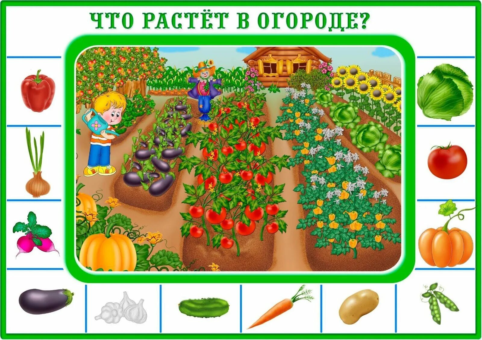 Детский садик росла. Грядка с овощами для детей. Овощи для огорода в детском саду. Игра что растет на грядке. Огород картинка для детей.