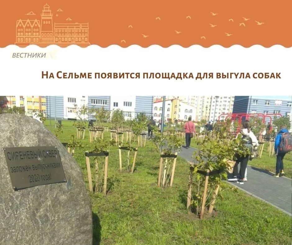 На благоустройство сквера с сакурами на Сельме выделили 19 млн рублей