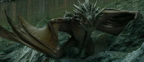 Dragon harry potter
