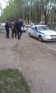 Аварий посадка