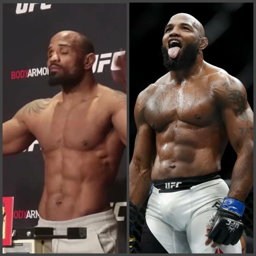 Книга беременна от бандита. Йоэль ромеро рост. Читать книги екатерины ромеро. Вадим немков йоэль ромеро. Ромеро лялька читать полностью.