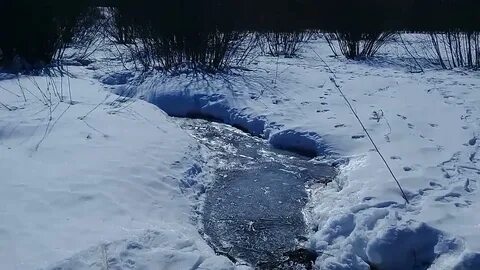 Снег потерял