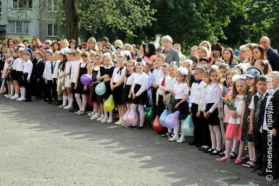 Школа 15 гомель. Ирининская гимназия в Гомеле. Школа 1 Гомель. 2 Школа Гомель. Школа номер 5 город Гомель.