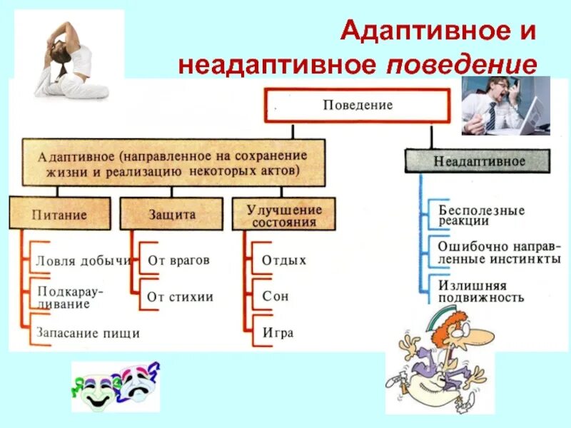 Адаптивное и неадаптивное поведение. Адаптивное поведение примеры. Адаптивные формы поведения. Адаптивные формы поведения человека.