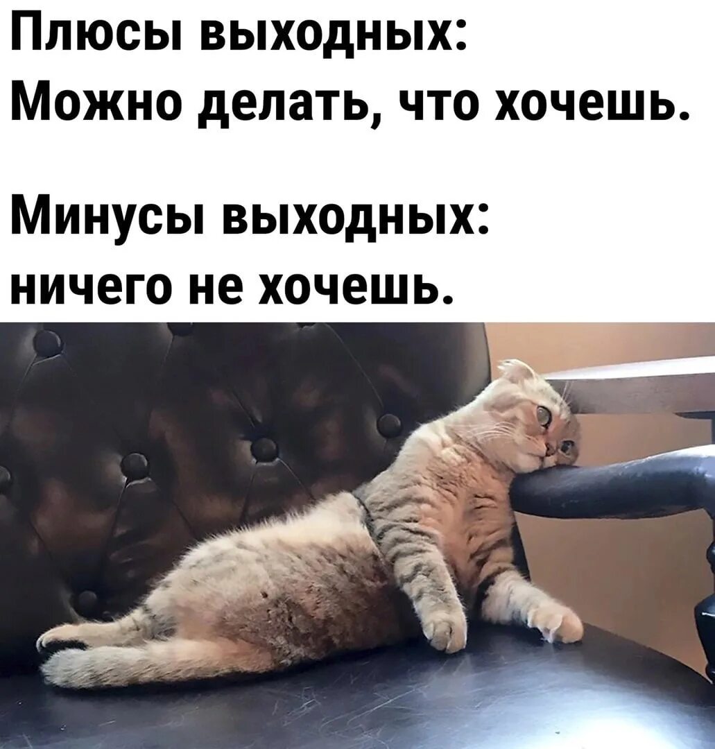 Выходные минусовка. Плюсы выходных. Плюсы и минусы выходных. Минус выходные. Плюсы выходных можешь делать.