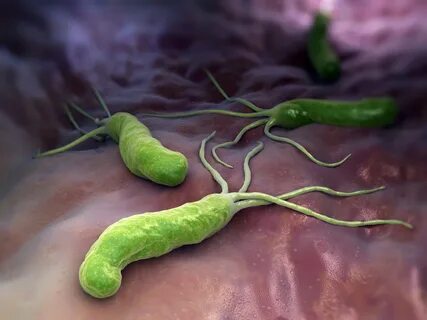 Инфекция н pylori