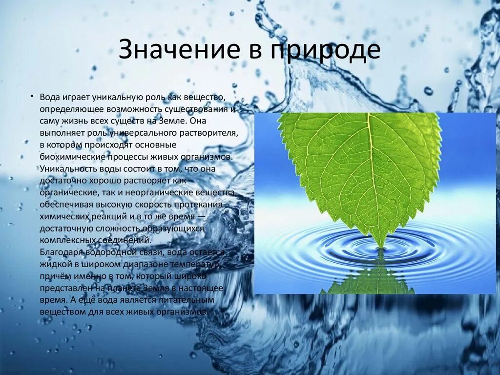 Экологическая роль воды. Презентация на тему вода. Вода в природе проект. Вода для презентации.