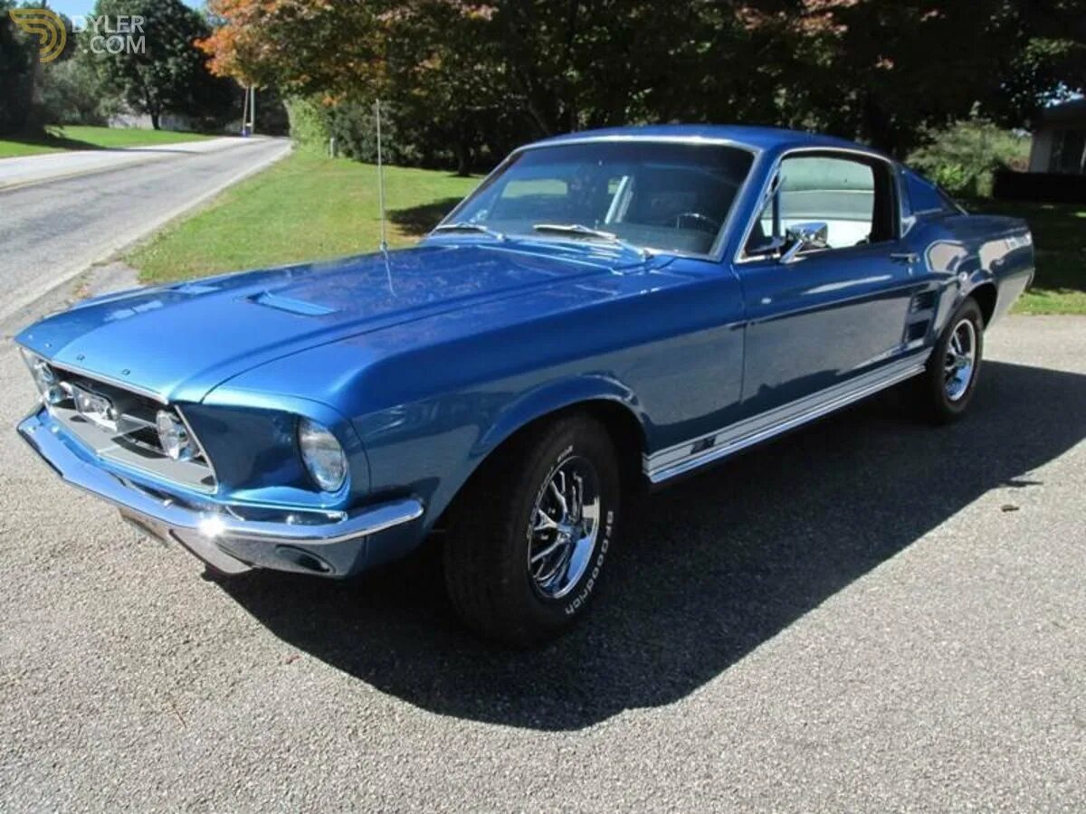 Форд gt 500 shelby 1980. Форд мустанг 1967 с нагнетателем. Ford mustang 1965 багажник. Форд мустанг буллит. Форд мустанг 1967 зеленый.