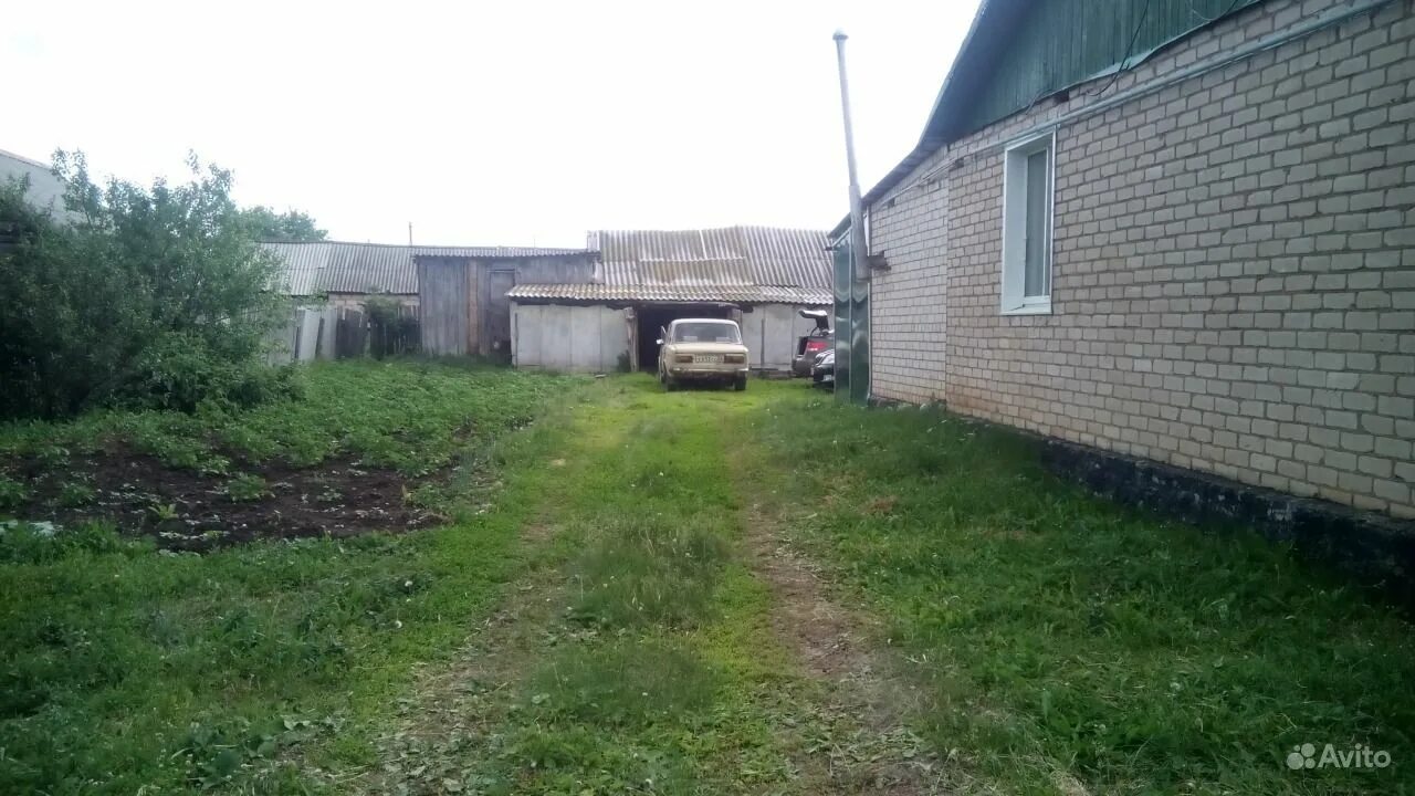 Погода большедорожном в северном районе оренбургской. Северные районы оренбургской. Погода большедорожном в северном районе оренбургской. Погода большедорожном в северном районе оренбургской. Большедорожное новосибирская область.