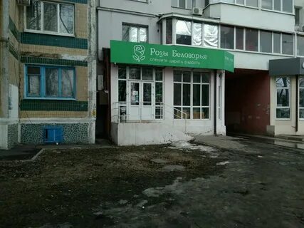 Губкина 38