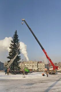 Елка в новокузнецке