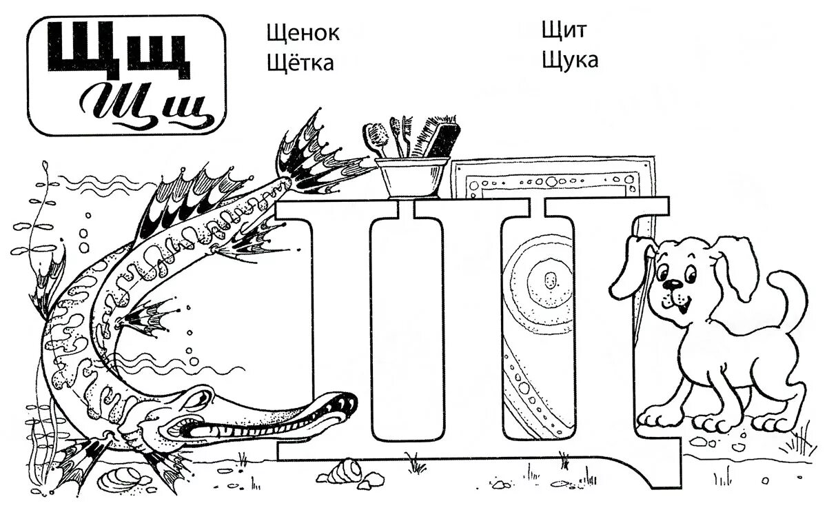 Буква щ. Щ. Буквы алфавита щ. Дщ щ. Буква щ для детей.