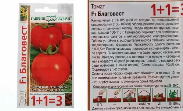 Томаты благовест описание сорта
