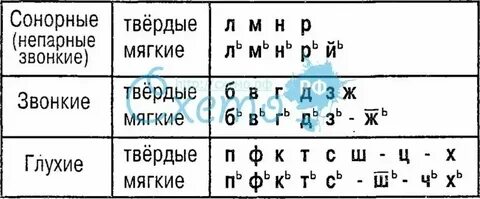 Сонорные звуки в слове кусок