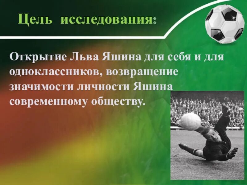 Сколько мячей пропустил лев
