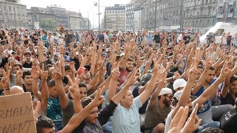 Политическая толерантность