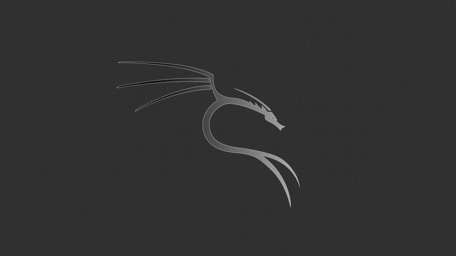 Kali linux os. Кали линукс. дракон кали линукс. кали линукс убунту. фон kali linux.