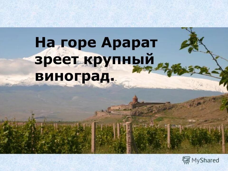 на горе арарат растет крупный виноград скороговорка. на горе арарат зреет красный виноград. на горе арарат растет. на горе арарат красный виноград. на горе арарат красный виноград.