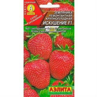 Клубника искушение