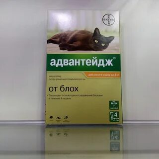 Адвантейдж для кошек