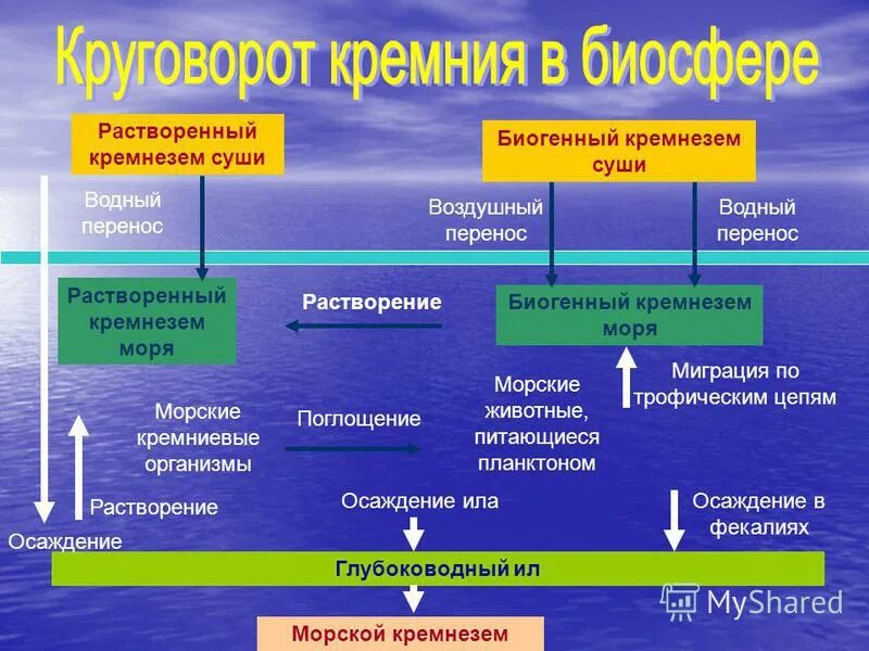 Валентность кремния в оксиде. Кремний растворяется в воде. Химические свойства кремния. Метакремниевая кислота. Кремний силициум о2.