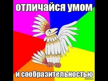 Птица говорун отличается умом