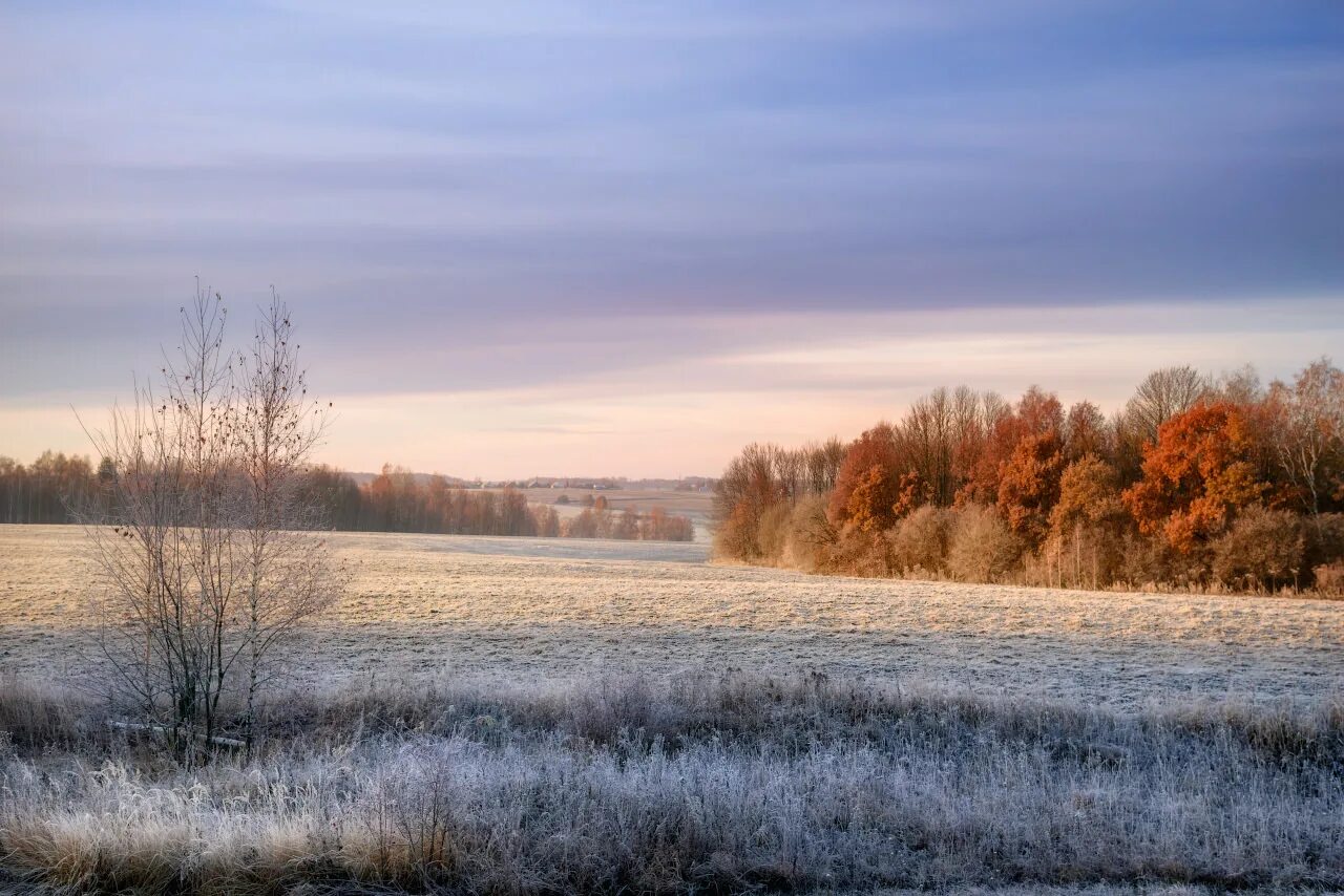 Первые заморозки. Осенние заморозки. Поздняя осень. Заморозки природа.