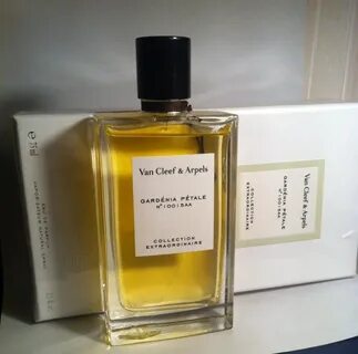 Van cleef arpels the amara