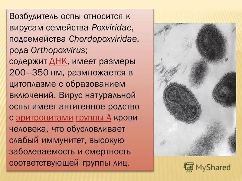 Вирус натуральной оспы этиология. Вирус оспы электронная микроскопия. Вирус оспы обезьян строение. Возбудитель натуральной оспы микробиология. Вирус натуральной оспы этиология.