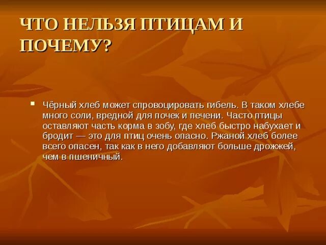 Почему нельзя кормить птиц черным хлебом. Почему птицам нельзя черный хлеб. Почему нельзя давать птицам черный хлеб. Почему нельзя кормить птиц хлебом. Можно кормить черным хлебом