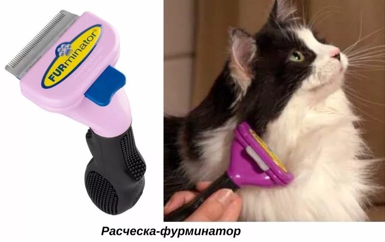 Как сделать чтоб кот. Не линяющие кошки. средство чтобы кошка не линяла. средство чтоб коты не линяли. что делать чтобы кот не линял.