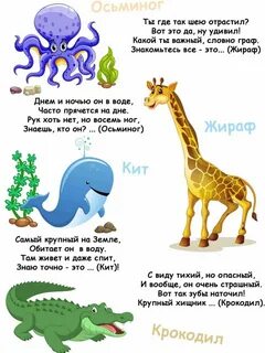 Рифмы животных