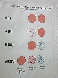 Цоликлон резус
