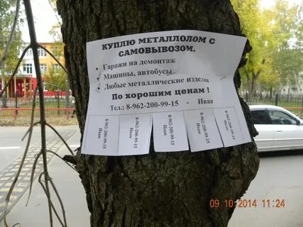 Листовок деревья