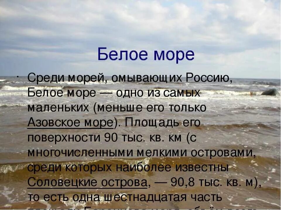 Описание морей России. Описание любого моря. Сообщение о море России. Характеристика белого моря.