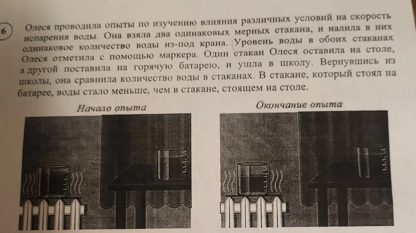 Скорость испарения воды опыт. Влияет ли форма ёмкости на скорость испарения воды в ней. Опыт по окружающему миру 4 класс ВПР про испарение воды. Влияет ли прозрачность стенок емкости на скорость нагревания.