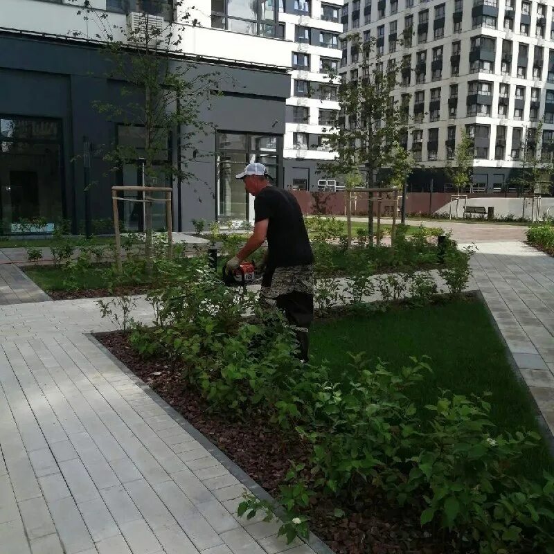 рисан пенза логотип. сайт ук твой дом. сайт ук твой дом. логотип ук. ук ваш дом киров официальный сайт.