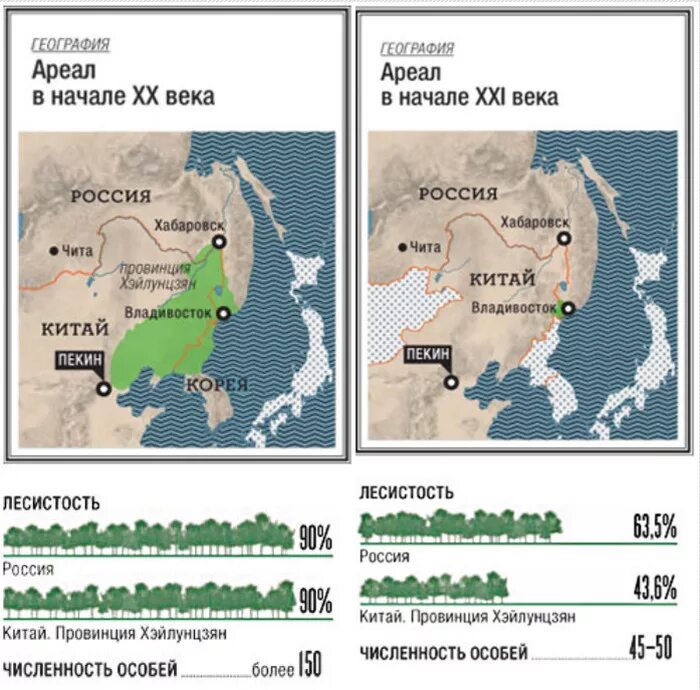 Исторический ареал обитания леопарда. Ареал обитания леопардов на карте. Сервал ареал обитания. Леопард ареал обитания. Ареал обитания амурского леопарда.