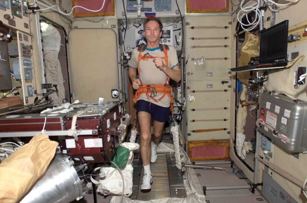 Занимаются ли космонавты. Беговая дорожка на МКС. Костюм Чибис для Космонавтов. Тренировки Космонавтов в космосе.