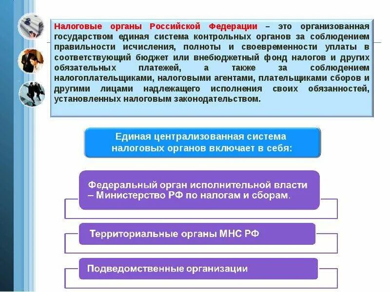 Органы осуществляющие контроль за сбором налогов