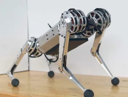 Legged robots