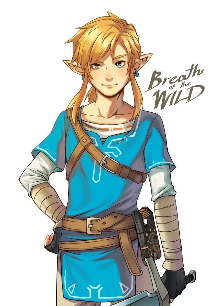 Learned link link. Линк Зельда. Линк и Зельда BOTW. Линк BOTW арты. Зельда BOTW link.